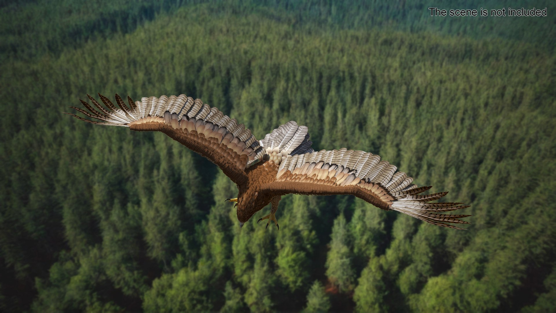 Gurney Eagle Attacking Pose 3D https://p.turbosquid.com/ts-thumb/hb/LQY5jH/HL/gurneyeagleattackingpose3dsmodel002/jpg/1719971787/1920x1080/fit_q87/af647af176cb3ac5fe6c73a278a0604ed8cd27a5/gurneyeagleattackingpose3dsmodel002.jpg