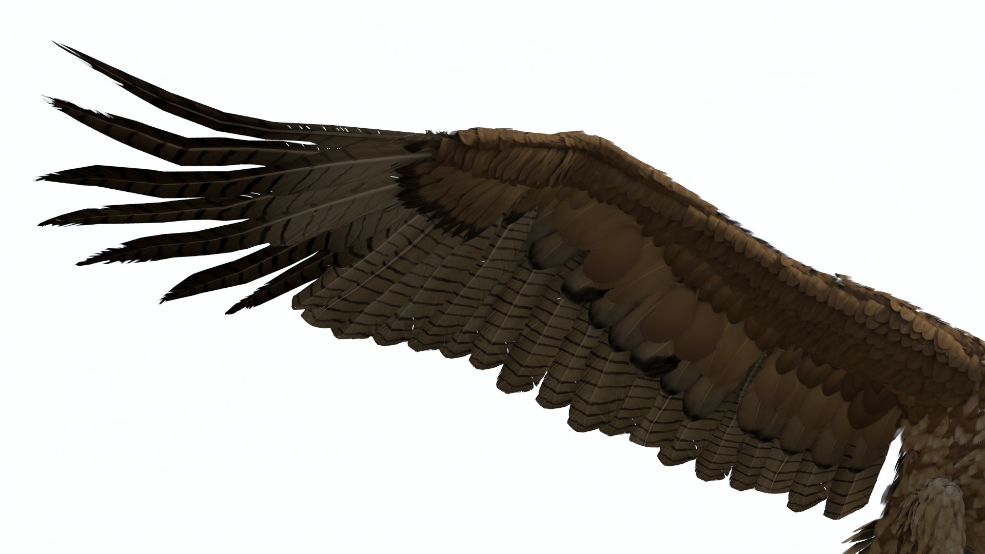Gurney Eagle Attacking Pose 3D https://p.turbosquid.com/ts-thumb/hb/LQY5jH/LJ/gurneyeagleattackingpose3dsmodel014/jpg/1719971852/1920x1080/fit_q87/24d1ba462f0ae6c64845ed53d22b7517d57111f1/gurneyeagleattackingpose3dsmodel014.jpg