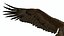 Gurney Eagle Attacking Pose