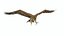 Gurney Eagle Attacking Pose