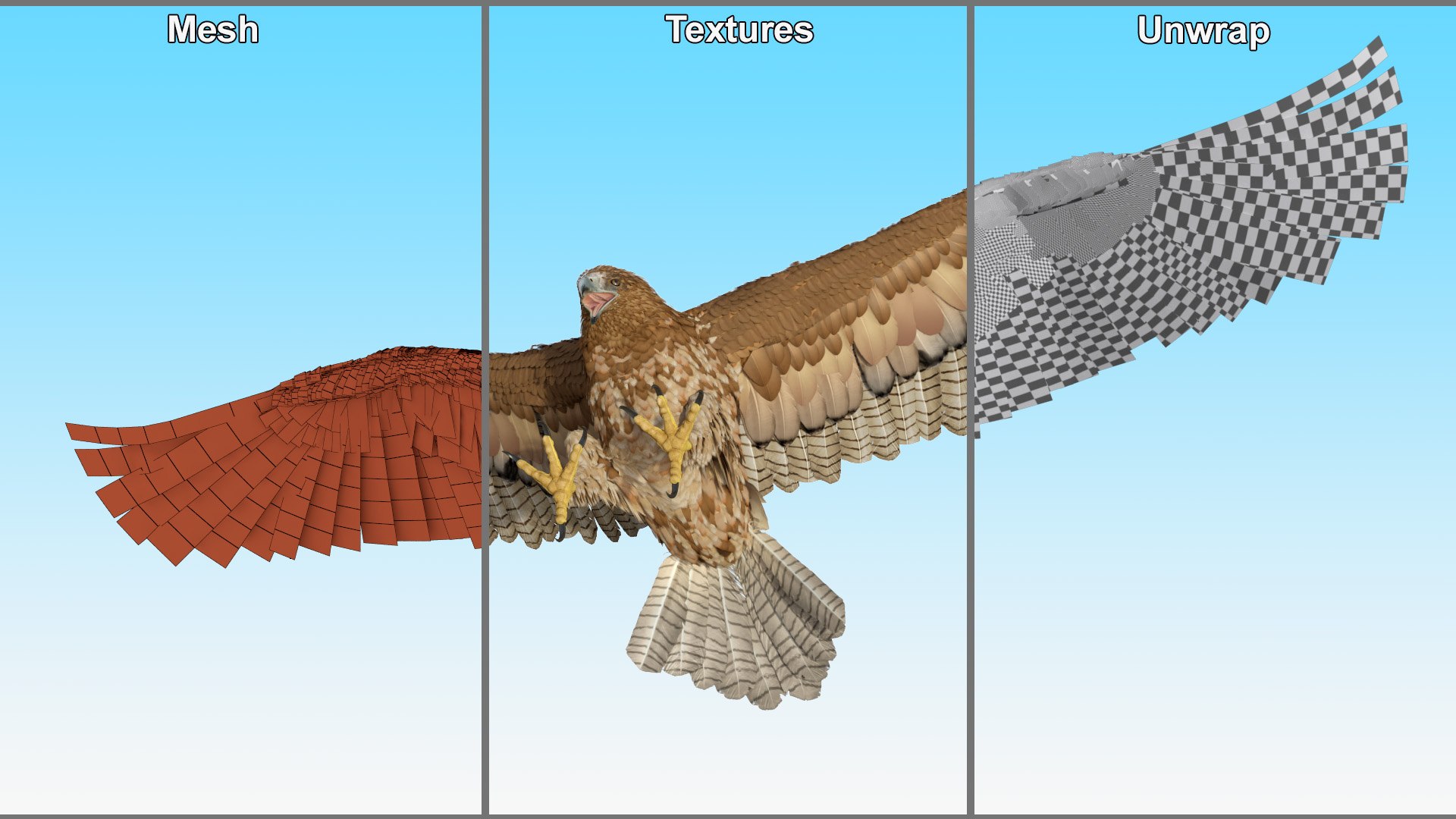 Gurney Eagle Attacking Pose 3D https://p.turbosquid.com/ts-thumb/hb/LQY5jH/cT/gurneyeagleattackingpose3dsmodel017/jpg/1719971870/1920x1080/fit_q87/fb97c479ff0ae812c3de2e06af00d2475202d0d1/gurneyeagleattackingpose3dsmodel017.jpg