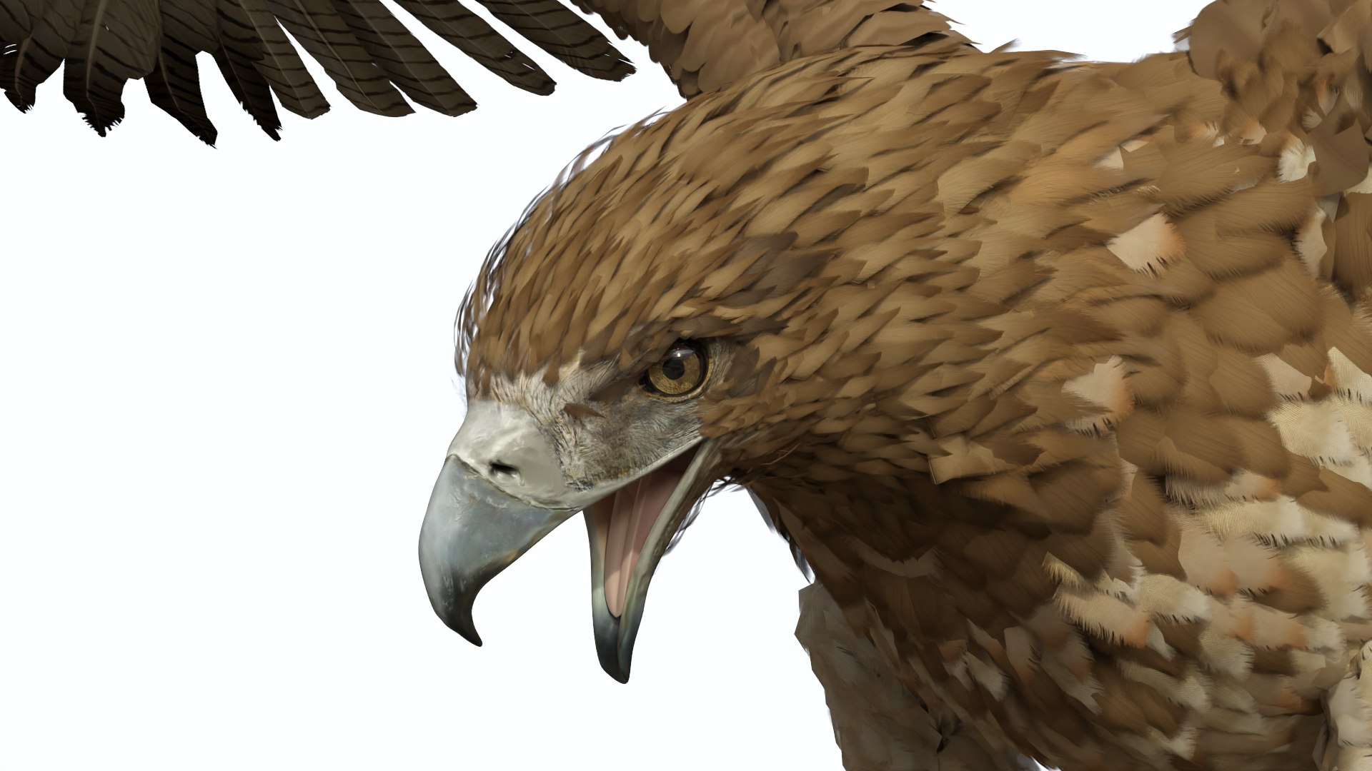Gurney Eagle Attacking Pose 3D https://p.turbosquid.com/ts-thumb/hb/LQY5jH/lK/gurneyeagleattackingpose3dsmodel009/jpg/1719971819/1920x1080/fit_q87/e7c20e96041d791fa830e71740209926fdf3d693/gurneyeagleattackingpose3dsmodel009.jpg
