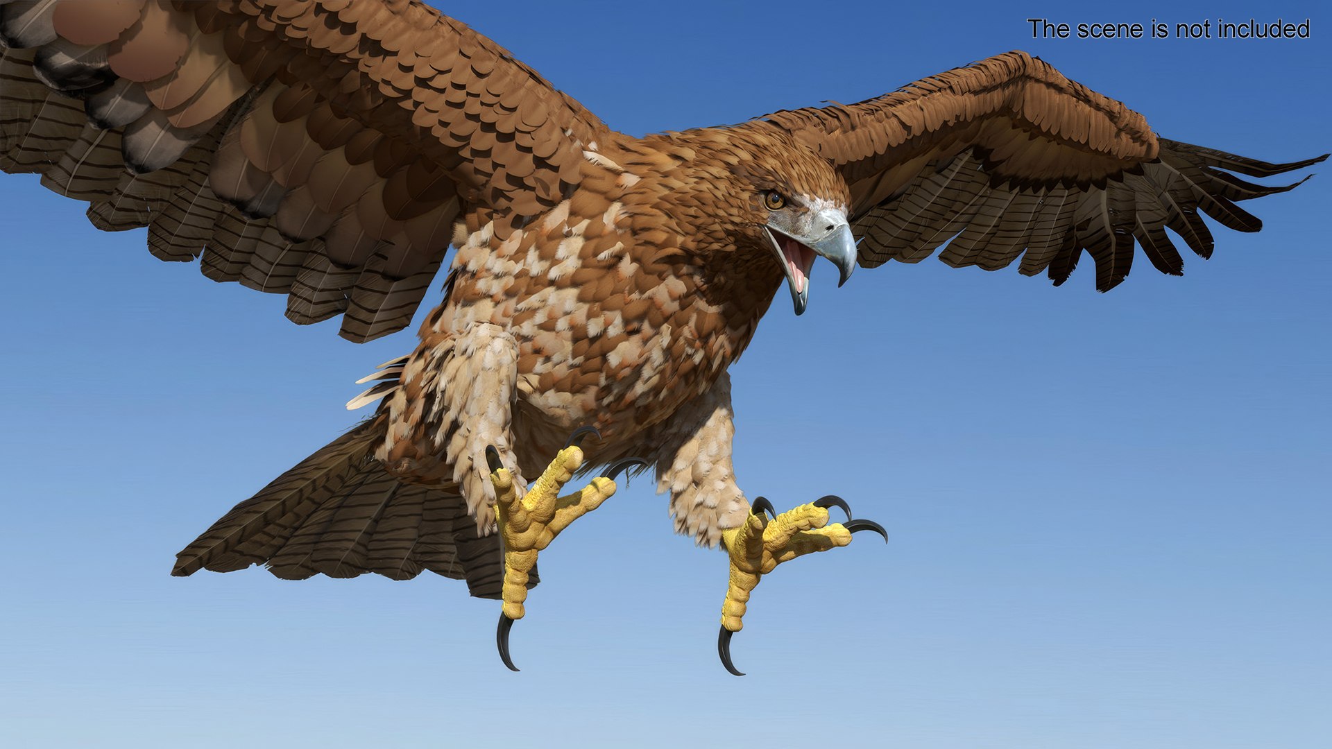Gurney Eagle Attacking Pose 3D https://p.turbosquid.com/ts-thumb/hb/LQY5jH/lc/gurneyeagleattackingpose3dsmodel004/jpg/1719971799/1920x1080/fit_q87/5d782128ec9272ddf8931eadc4bc27ef72ba856c/gurneyeagleattackingpose3dsmodel004.jpg