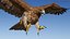 Gurney Eagle Attacking Pose