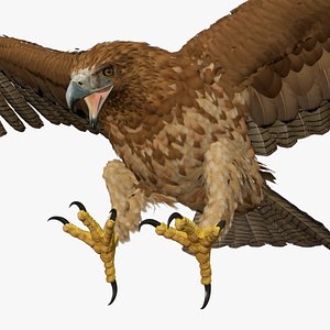 Gurney Eagle Attacking Pose