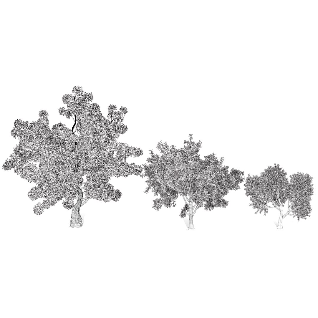 Realistic Neem Tree 3D Model 3D https://p.turbosquid.com/ts-thumb/hb/WH2vcN/1G/wire/jpg/1727694051/1920x1080/fit_q87/aeb6670569fd42d3eb6a23cdd51ac4036f3258a4/wire.jpg