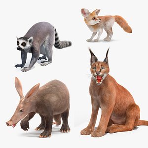 Rigged African Mammals Fur Collection