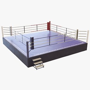 boxing ring model