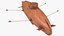 3D Old Wooden Submarine Rigged model