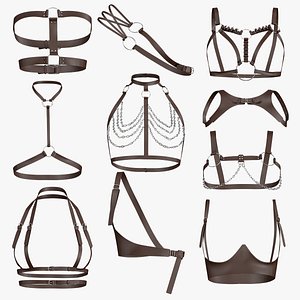 3D 10 harness chest model