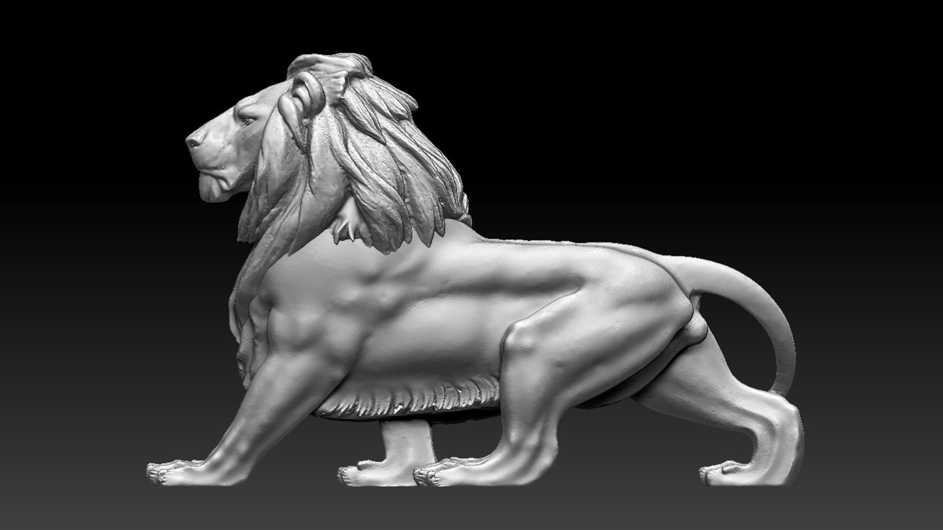 Lion 3d Model Turbosquid 1901337