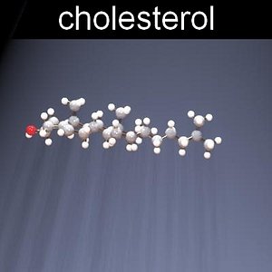 3D Cholesterol Models | TurboSquid