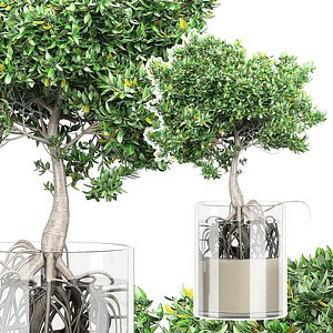 flower pack 158 tree model