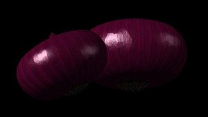 red onion 3d obj