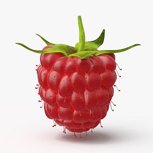 Red Ripe Raspberry with Fur 3D