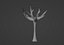 Naked Tree