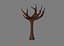 Naked Tree