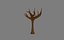 Naked Tree