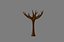 Naked Tree