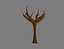 Naked Tree