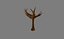Naked Tree