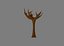 Naked Tree