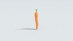 laos Carrot 3D