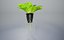 3D lettuce pot model