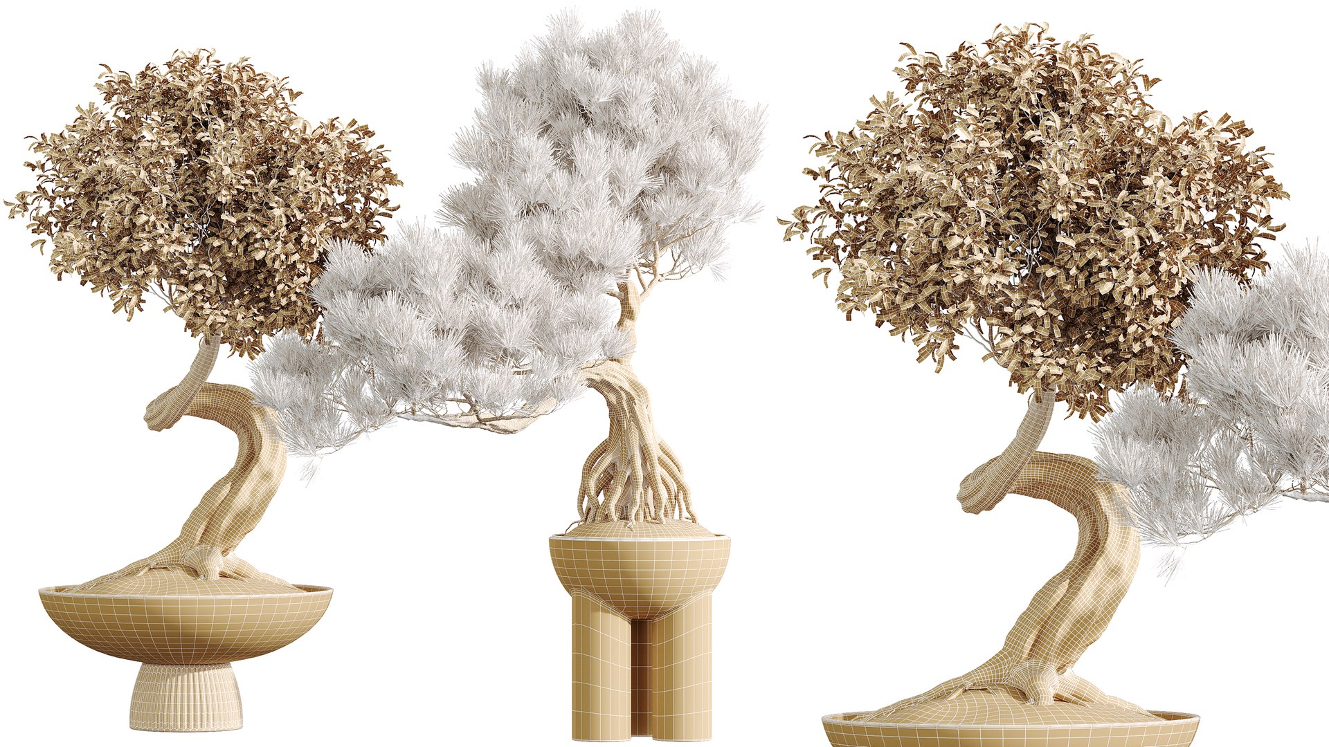 3D AV Indoor Plants Set 315 Ficus Retusa Bonsai Ginseng and Bonsai Pinus Pentaphylla Thunbergii model https://p.turbosquid.com/ts-thumb/hc/NLXG8A/6y/07/png/1756890711/1920x1080/fit_q87/2838f87a3400f9377cd33e61b0284a00d0b8b103/07.jpg
