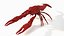 Crayfish Rigged