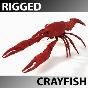 rigged crayfish 3d model