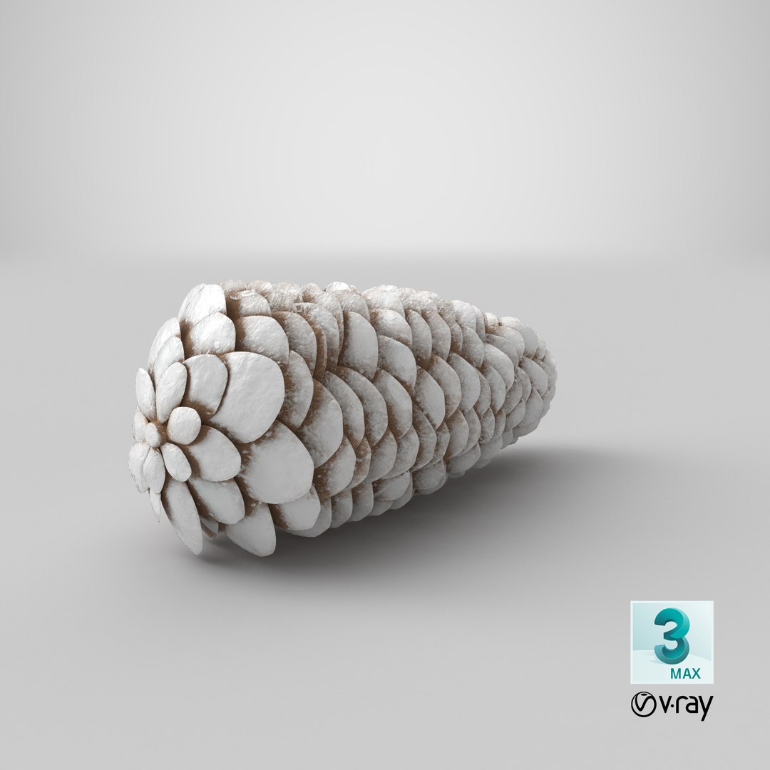 frosted-pine-cones---03 3D model https://p.turbosquid.com/ts-thumb/hc/jmKkRC/GF9J9vvQ/stemcell_max_vray_render/png/1554412066/1920x1080/fit_q87/11a75e5a0d919e0f5773888442ad1688c8eb8745/stemcell_max_vray_render.jpg