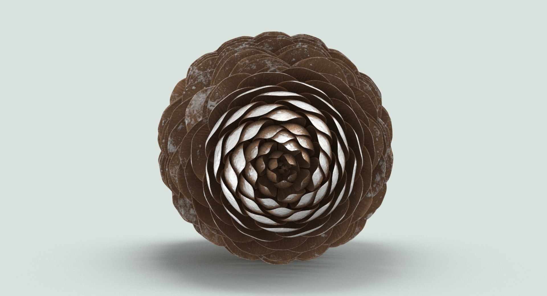 frosted-pine-cones---03 3D model https://p.turbosquid.com/ts-thumb/hc/jmKkRC/ZstwzdNX/frosted_pine_productshot_0004/jpg/1546453217/1920x1080/fit_q87/87c7d92421bdd57f38bb8d9f2e1abd2495e46002/frosted_pine_productshot_0004.jpg