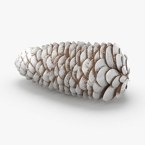 Frosted Pine Cones - 03