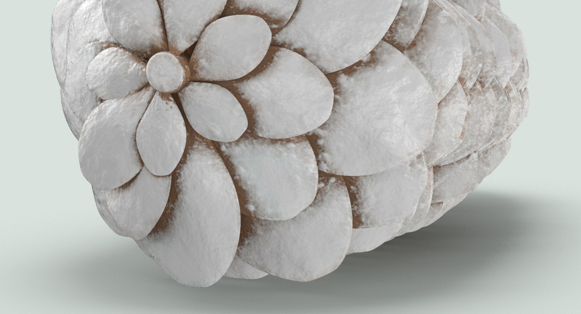 Frosted-pine-cones---01 3D model - TurboSquid 1362571