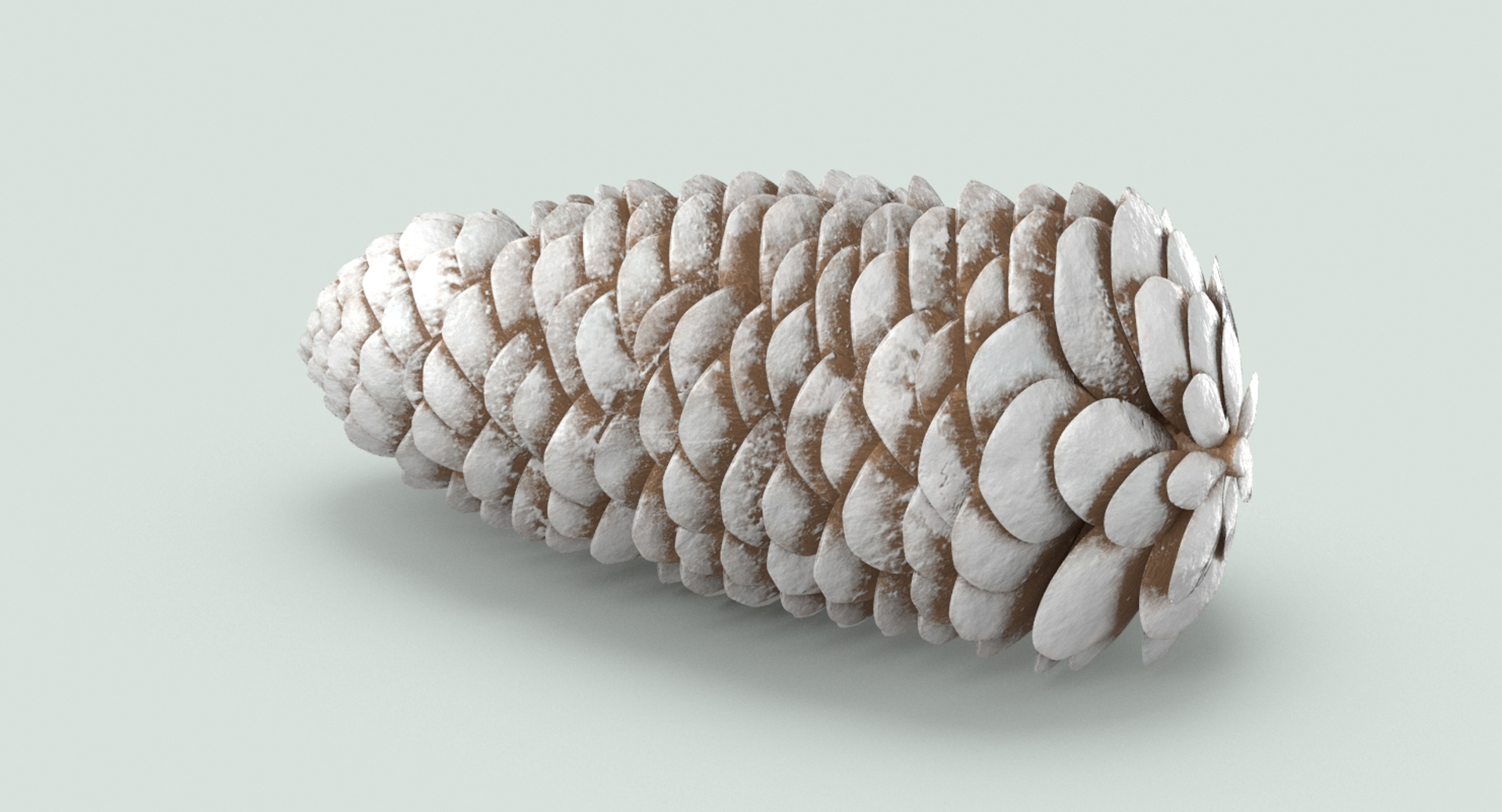 Frosted Pine Cones - 05 3D Model $29 - .usd .fbx .c4d .unitypackage .upk  .max .ma .obj .gltf - Free3D
