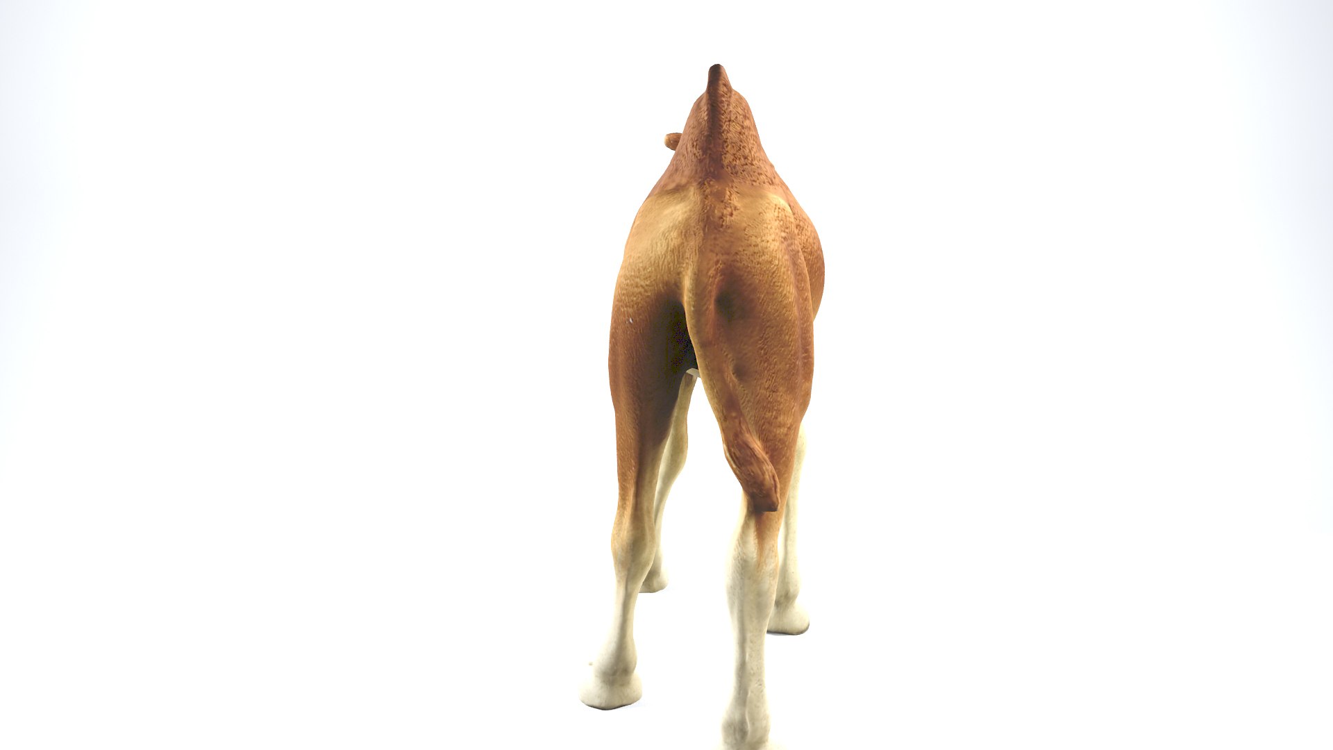 camel animal nature 3D model https://p.turbosquid.com/ts-thumb/hc/rntu9H/FXKXhbdz/camel_camera01_thumbnail_10004/jpg/1599804335/1920x1080/fit_q87/641cac3c587241540f559052152e4e9b5d273556/camel_camera01_thumbnail_10004.jpg