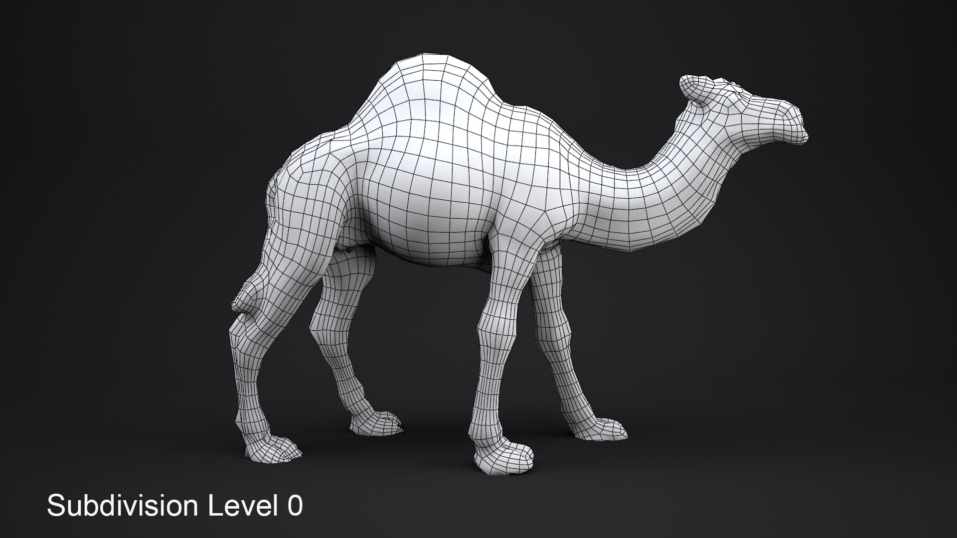 camel animal nature 3D model https://p.turbosquid.com/ts-thumb/hc/rntu9H/Yb2rz0Ja/s0/jpg/1599802811/1920x1080/fit_q87/94ce364cd35952c6e07e331564984e74919c5ea8/s0.jpg