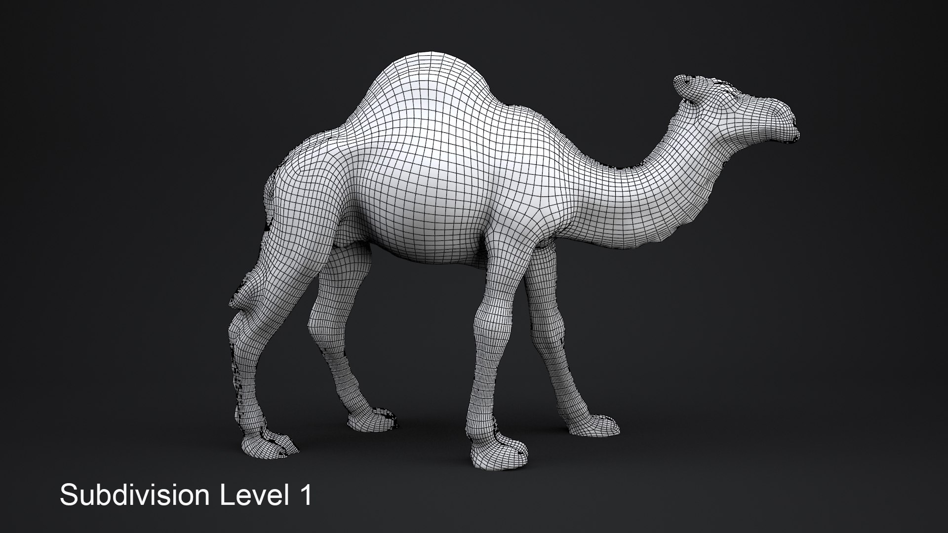 camel animal nature 3D model https://p.turbosquid.com/ts-thumb/hc/rntu9H/bNppGVGI/s1/jpg/1599802811/1920x1080/fit_q87/8a8990507e3f6fc95de4832d0a1ded7e1f186ace/s1.jpg