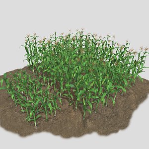 corn field for 3d printing