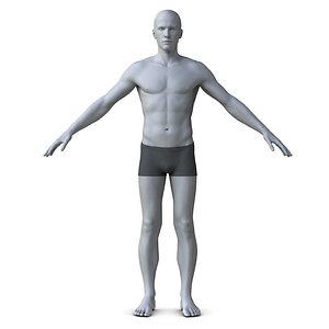 Realistic Man model