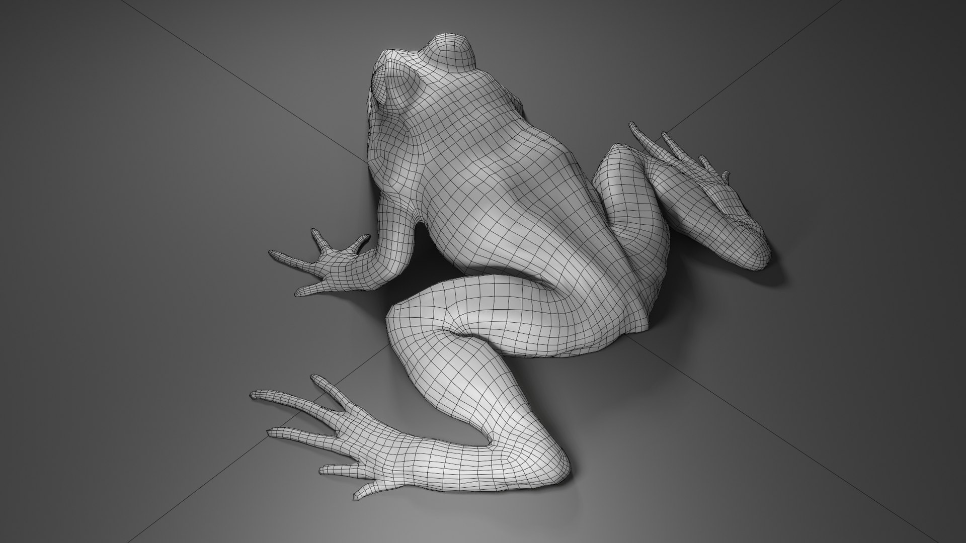 Frog Basemesh 3D Model - TurboSquid 1752191