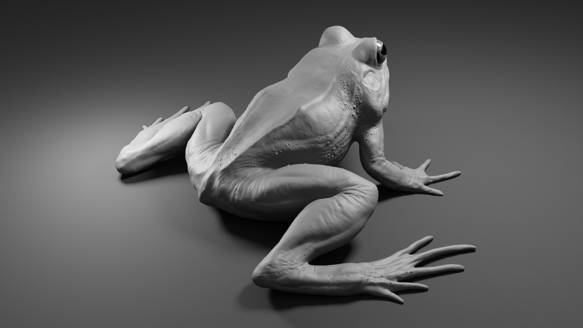 Frog Basemesh 3D Model - TurboSquid 1752191