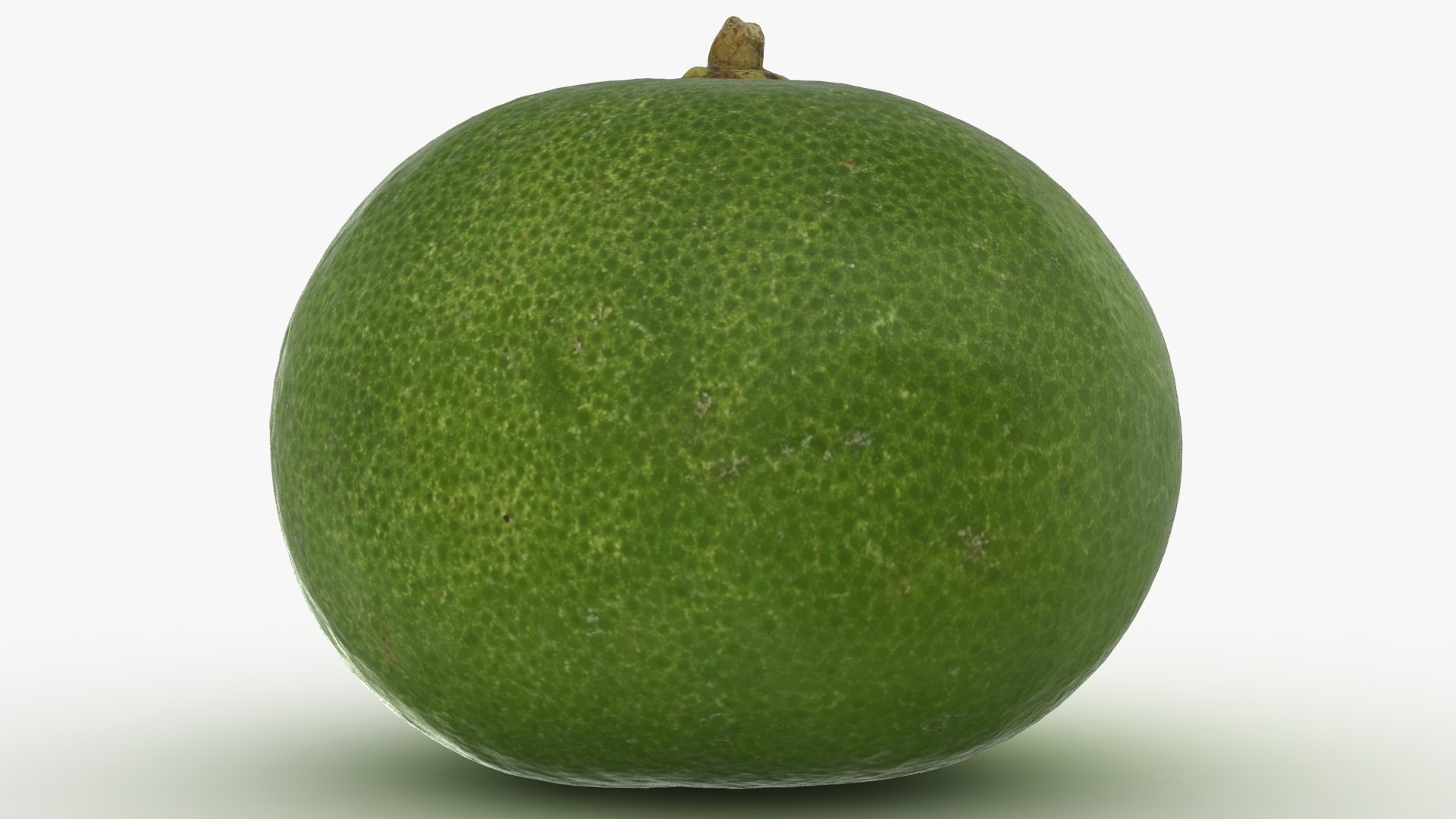 lime small 3D https://p.turbosquid.com/ts-thumb/hd/OmDntQ/52/lemon_rr_08/jpg/1613198604/1920x1080/fit_q87/220ef5773ce309fa1c351b3b4b42ec7c762cbeed/lemon_rr_08.jpg