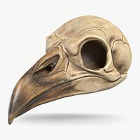 Bird Skull 2