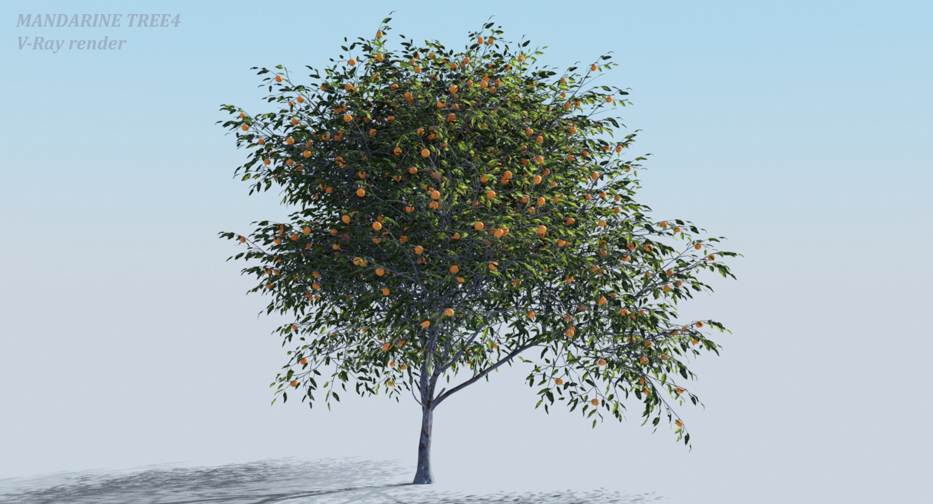 realistic fruit tree woods model https://p.turbosquid.com/ts-thumb/hd/Q1rzGF/78qNRyHv/sss3d_tree_view04/jpg/1546687968/1920x1080/fit_q87/87cf3e65fe632068e97d5f0634a276abc4ba4ff1/sss3d_tree_view04.jpg
