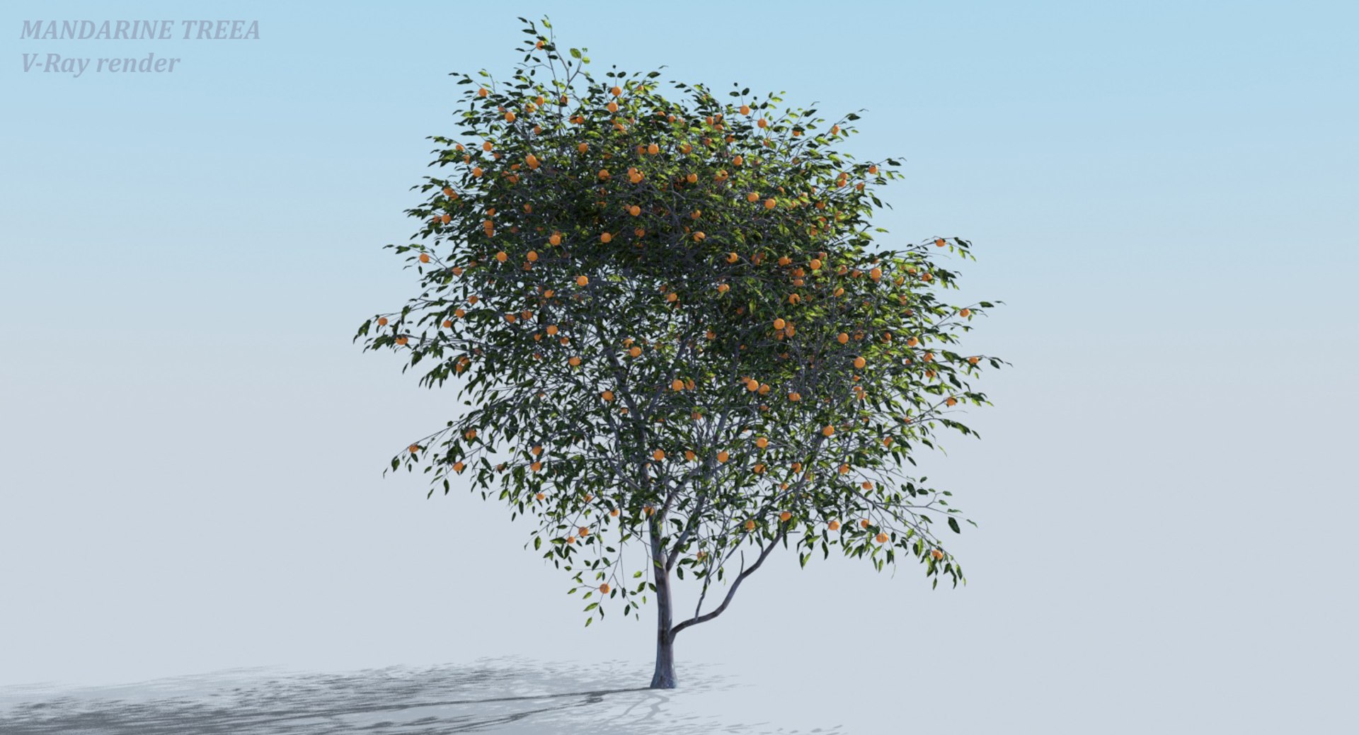 realistic fruit tree woods model https://p.turbosquid.com/ts-thumb/hd/Q1rzGF/Kw525GQZ/sss3d_tree_view10/jpg/1546688894/1920x1080/fit_q87/d263e7bb19c103904acb206412eb9e60f762e1d9/sss3d_tree_view10.jpg