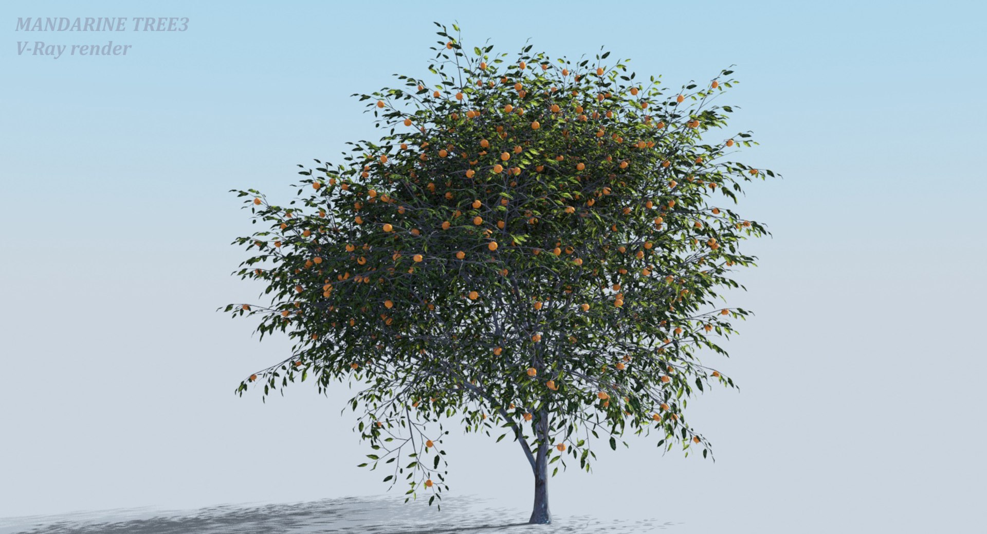 realistic fruit tree woods model https://p.turbosquid.com/ts-thumb/hd/Q1rzGF/SVGZwCXv/sss3d_tree_view03/jpg/1546687968/1920x1080/fit_q87/add9497bb92f9905d145b5f649316b13522e6bbe/sss3d_tree_view03.jpg