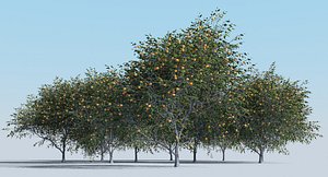 realistic fruit tree woods model