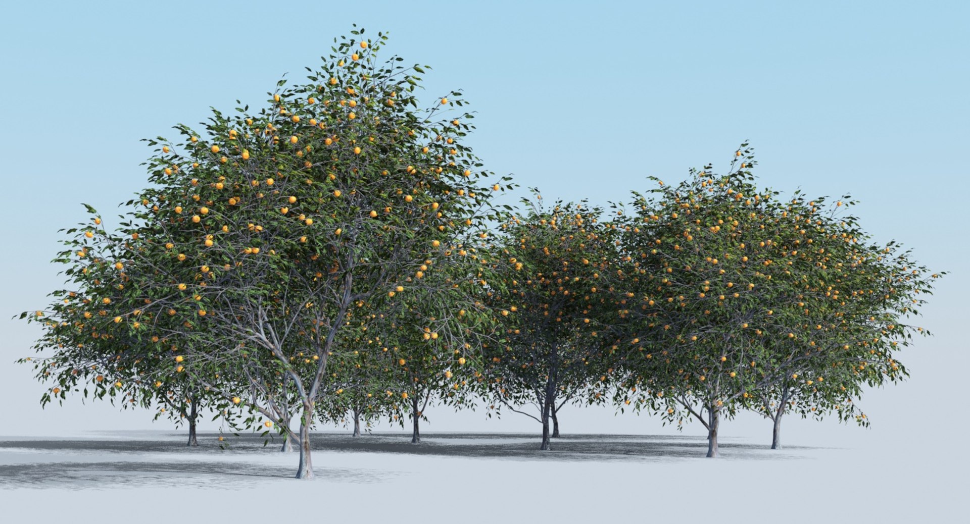 realistic fruit tree woods model https://p.turbosquid.com/ts-thumb/hd/Q1rzGF/i94K8muM/sss3d_tree_view12/jpg/1546687658/1920x1080/fit_q87/851f29bdaec67dc393063135ca01a4d197e49df9/sss3d_tree_view12.jpg